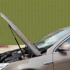 Stainless Steel High quality Automotive Gas Springs, gas bonnet struts for car